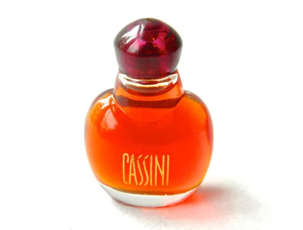 Cassini by Oleg Cassini