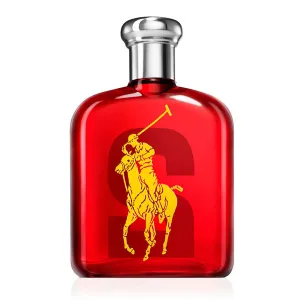 Polo Big Pony Collection 2 by Ralph Lauren